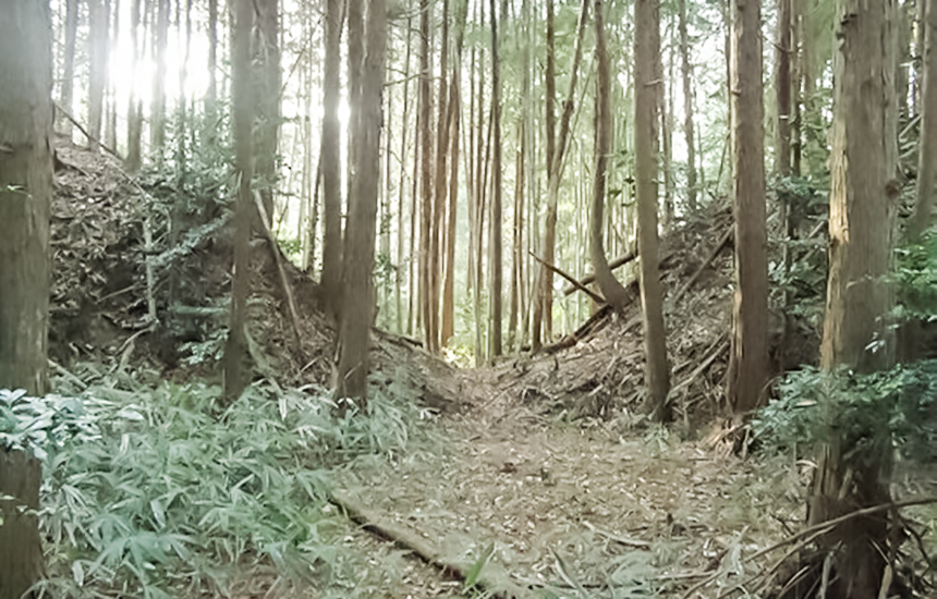 甲賀郡中惣遺跡群 | 甲賀市観光ガイド