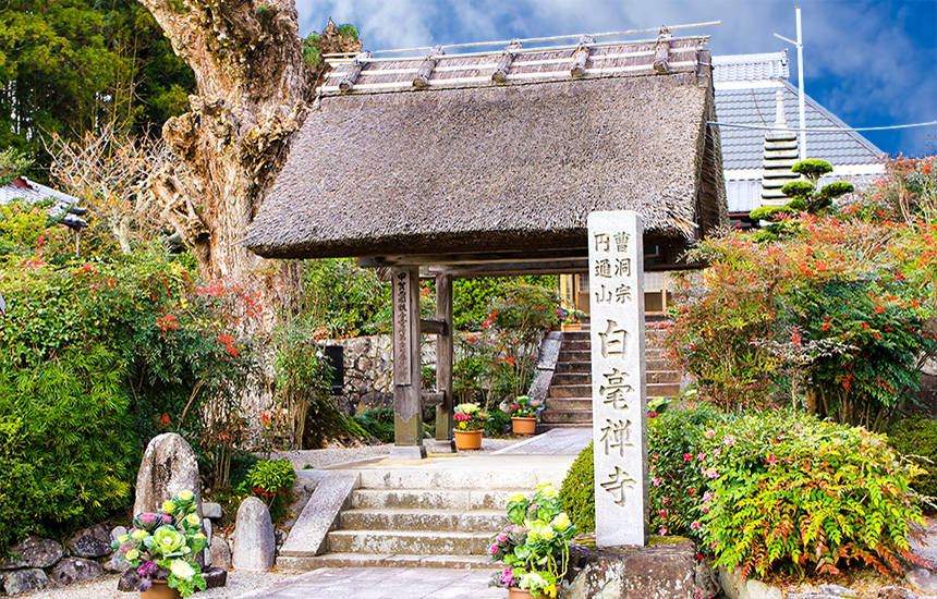 白毫寺 | 甲賀市観光ガイド
