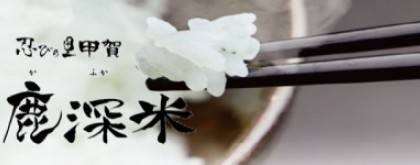 みなくちテクノスファーム 鹿深いちご園 甲賀市観光ガイド