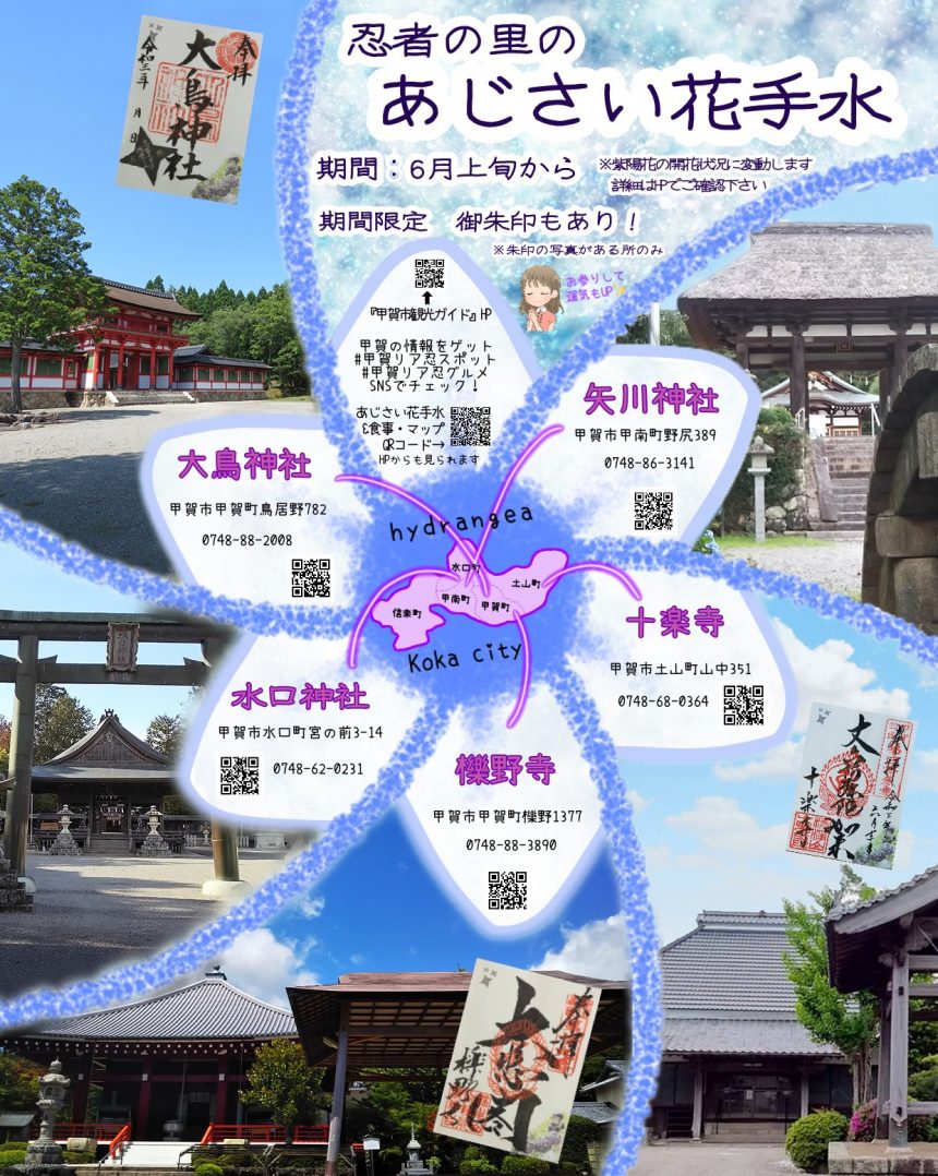 忍者の里のあじさい花手水と期間限定ご朱印 甲賀市観光ガイド