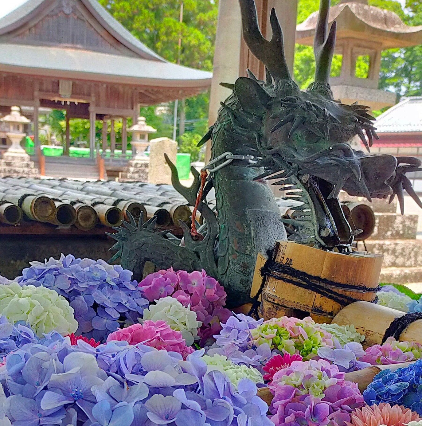 甲賀市観光ガイド