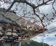 0403新宮神社楼門