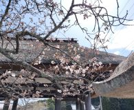 0404新宮神社表門