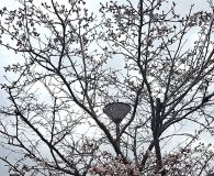 0406鹿深夢の森 (2)