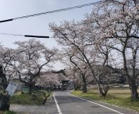 0408新宮神社表門