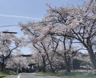 0409新宮神社表門