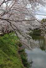 0409水口城