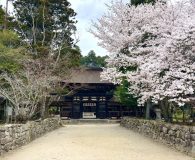0410油日神社 (1)