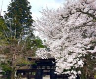 0410油日神社 (2)