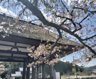 0414新宮神社表門