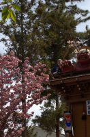 水口曳山まつり2024 (30)